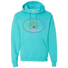 Rensselaer Parks Hooded Sweatshirt