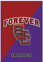 2x3' Forever SJC Flag