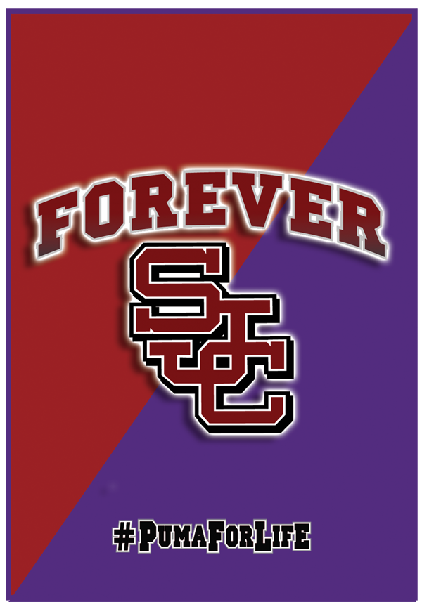 2x3' Forever SJC Flag