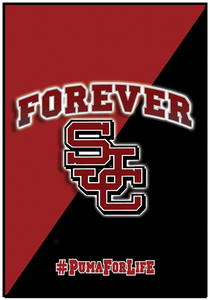 2x3' Forever SJC Flag